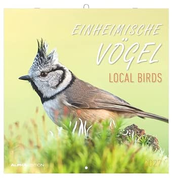 LOCAL BIRD 2027
