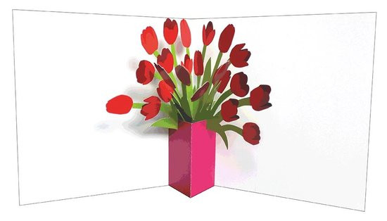 FLOWER VASES TULIPS POP UP