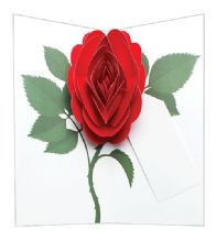 SIMPLY A ROSE RED POP UP