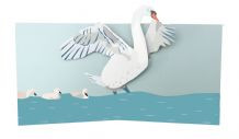 BIRDS SWAN POP UP CARD