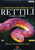 IL MERAVIGLIOSO MONDO DEI RETTILI E DEGLI ANFIBI