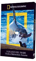 GIGANTI DEL MARE