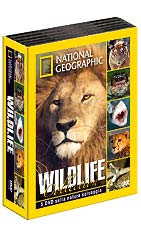 WILDLIFE COLLECTION