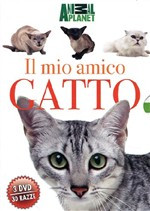 IL MIO AMICO GATTO