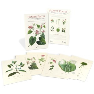 FLOWER PLATES FLORE D OWARE ET DE BENIN EN AFRIQUE