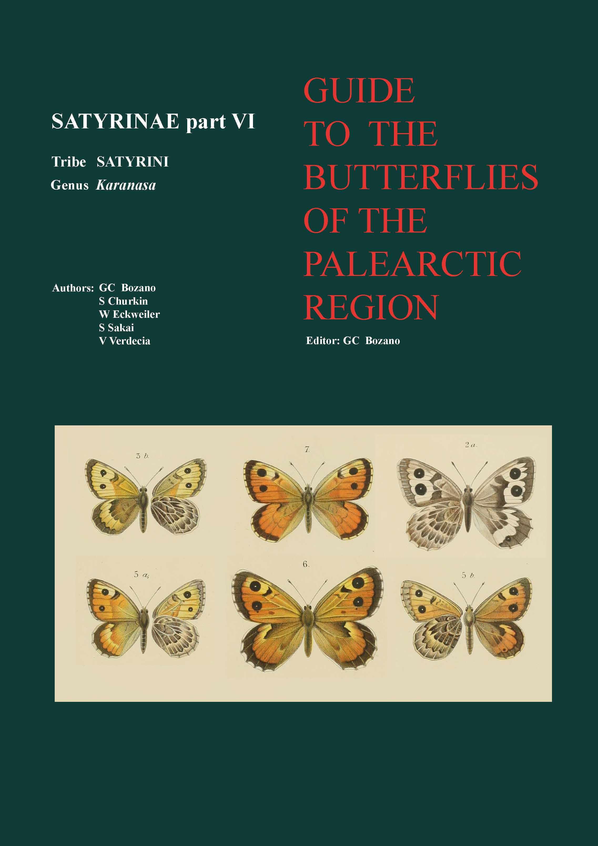 GUIDE TO THE BUTTERFLIES OF THE PALEARTIC REGION SATYRINAE PART VI
