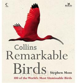COLLINS REMARKANLE BIRDS