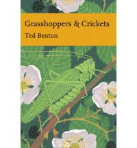 GRASSHOPPERS & CRICKETS