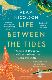 LIFE BETWEEN THE TIDES