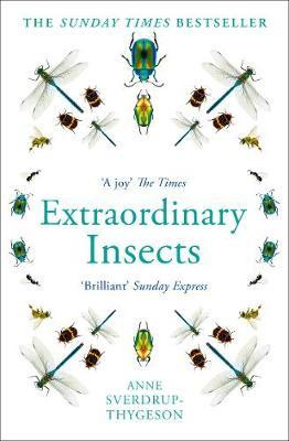 EXTRAORDINARY INSECTS