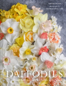 DAFFODILS