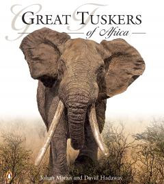 GREAT TUSKERS OF AFRICA