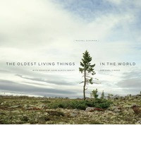 THE OLDEST LIVING THINGS IN THE WORLD