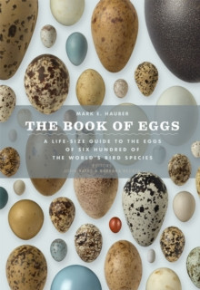 THE BOOK OF EGGS