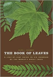 THE BOOK OF LEAVES