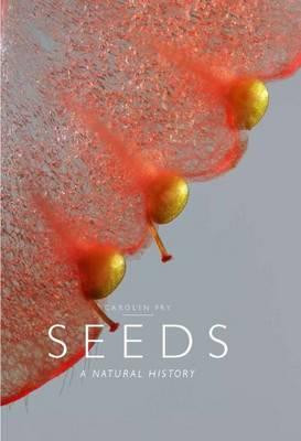 SEEDS