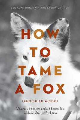 HOW TO TAME A FOX