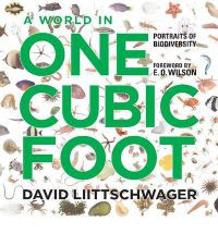 A WORLD IN ONE CUBIC FOOT