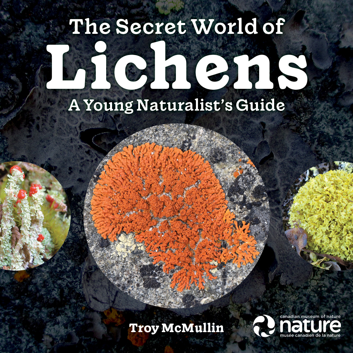 THE SECRET WORLD OF LICHENS