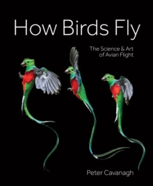 HOW BIRDS FLY