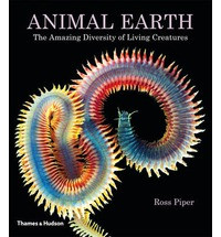 ANIMAL EARTH