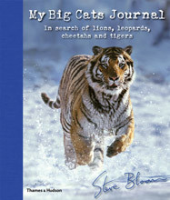 MY BIG CATS JOURNAL