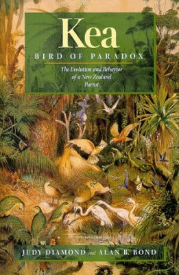 KEA BIRD OF PARADOX