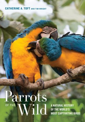 PARROTS OF THE WILD