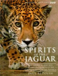 SPIRITS OF GTHE JAGUAR