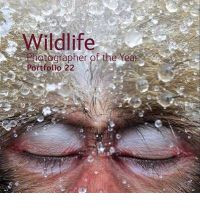 WILDLIFE PHOTOGRAPHER OF THE YEAR