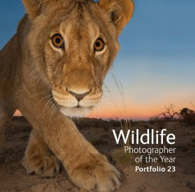 WILDLIFE PHOTOGRAPHER OF THE YEAR PORTFOLIO 23