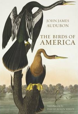 THE BIRDS OF AMERICA