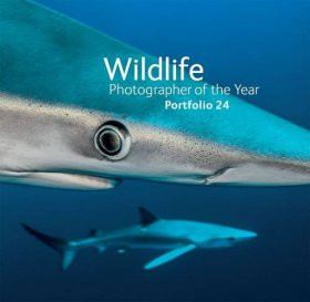 WILDLIFE PHOTOGRAPHER OF THE YEAR