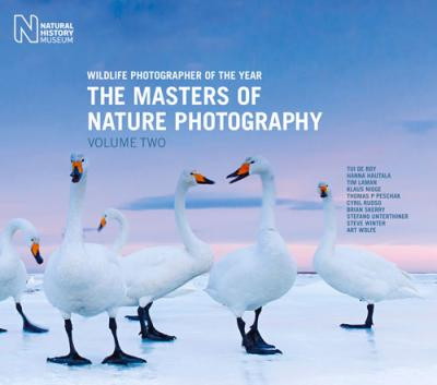 WILDLIFE PHOTOGRAPHER OF THE YEAR THE MASTERS OF NATURE PHOTOGRAPHY