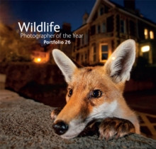 WILDLIFE PHOTOGRAPHER OF THE YEAR