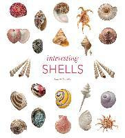 INTERESTING SHELLS