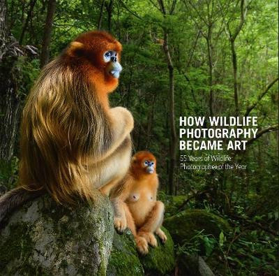 HOW WILDLIFE PHOTOGRAPHY BECAME ART