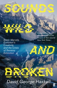 SOUNDS WILD AND BROKEN