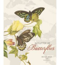 A FLUTTER OF BUTTERFLIES