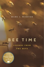 BEE TIME