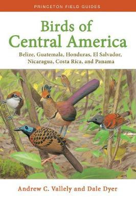 BIRDS OF CENTRAL AMERICA