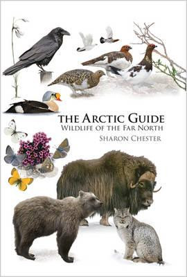 THE ARCTIC GUIDE