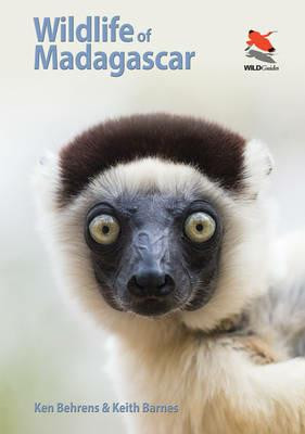 WILDLIFE OF MADAGASCAR