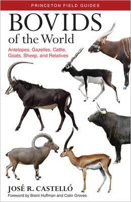 BOVIDS OF THE WORLD