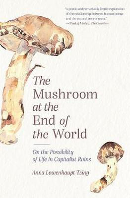 THE MUSHROOM AT THE END OF THE WORLD