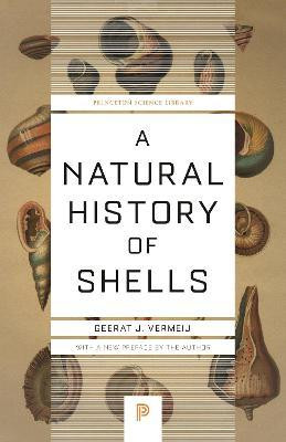 A NATURAL HISTORY OF SHELLS