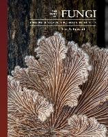 THE LIVES OF FUNGI
