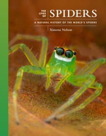 THE LIVES OF SPIDERS