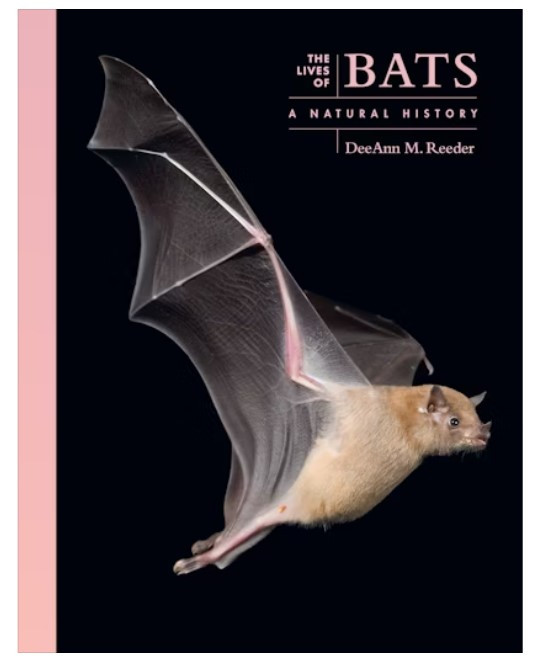 THE LIVES OF BATS