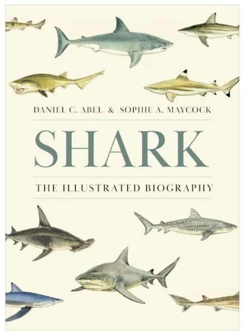 SHARK